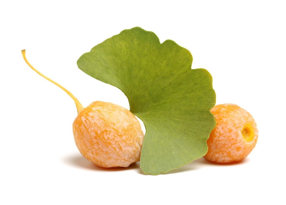 Ginkgo biloba στο Eroboost