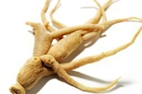 root ginseng για την ενίσχυση της ισχύος
