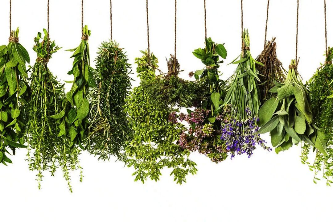 τροπικό φυτικό εκχύλισμα στο Eroboost